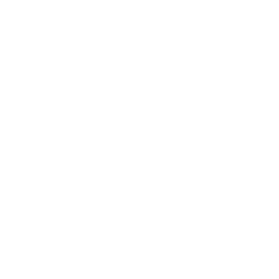 ho_gents_rings